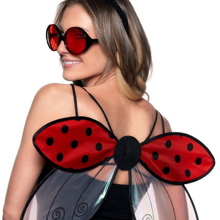 Ladybug Accessory Kit