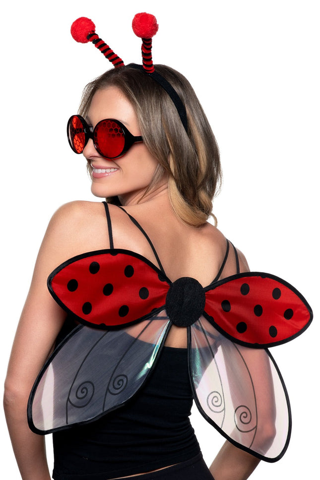 Ladybug Accessory Kit