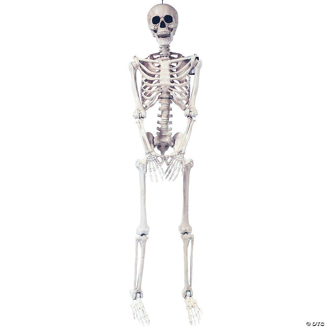 Skeleton Pose & Hold Life-size Prop- front view