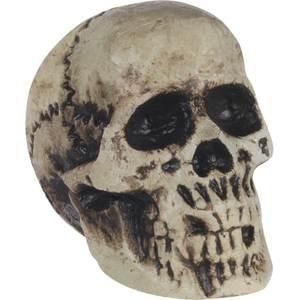 Skull Head Foam