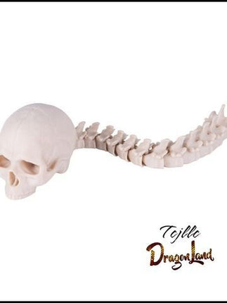 Predator Skull & Spine 3D