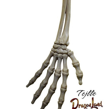 Flat Skeleton Hand