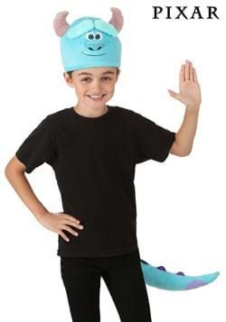 Monster Inc Sully Hat & Tail