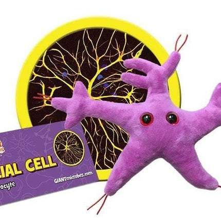 GM Glial Cell (Astrocyte)