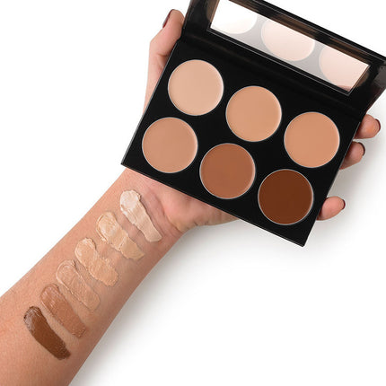 Celebré Pro-HD Conceal-It Palette- swatches