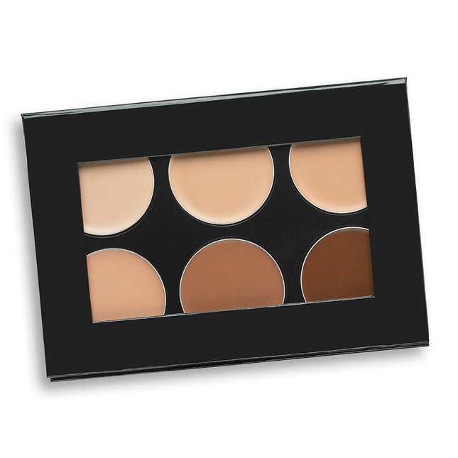 Celebré Pro-HD Conceal-It Palette