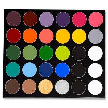 Paradise Makeup AQ- 30 Color Pro Palette
