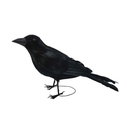 Realistic Black Raven