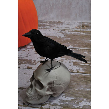 Realistic Black Raven