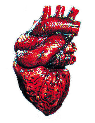 Realistic Heart Prop