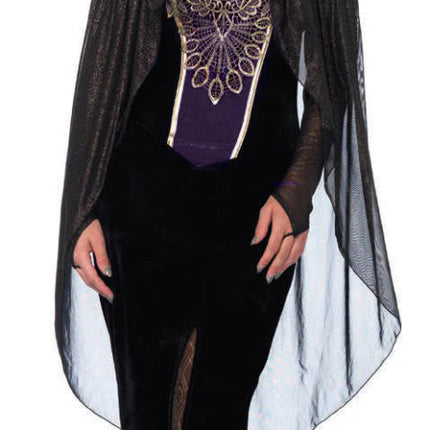 Bewitching Evil Queen Costume- front view
