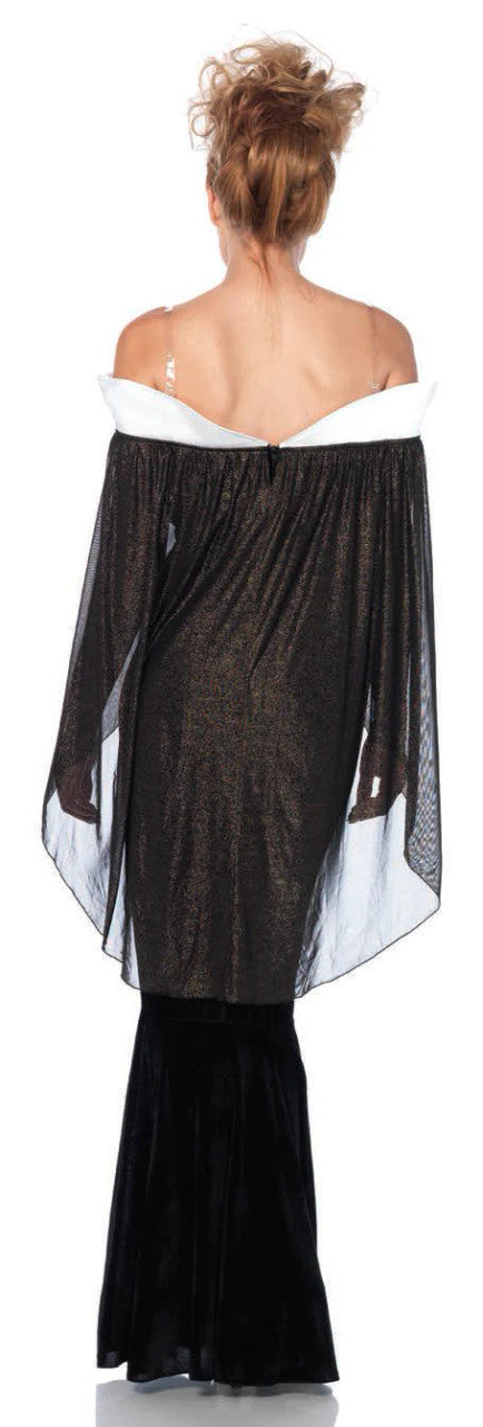 Bewitching Evil Queen Costume- back view
