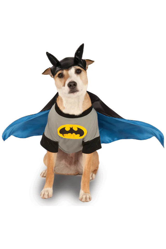 Batman Pet Costume