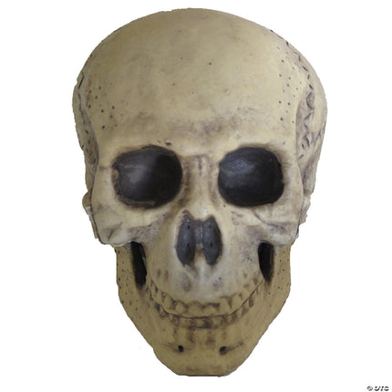 9.5" Foam Skull- front view