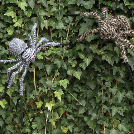 Fuzzy Spiders