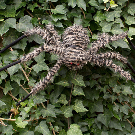 Fuzzy Spiders- brown