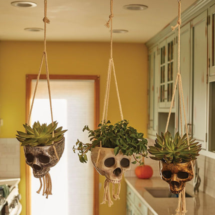 Hanging Skull Planters