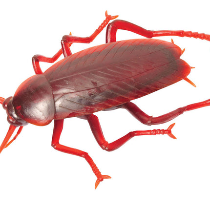 Giant 11" Bugs- cockroach, top view