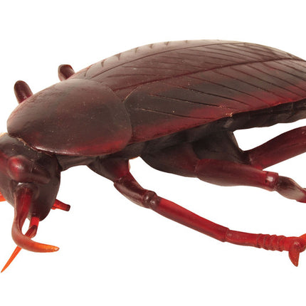 Giant 11" Bugs- cockroach, side view