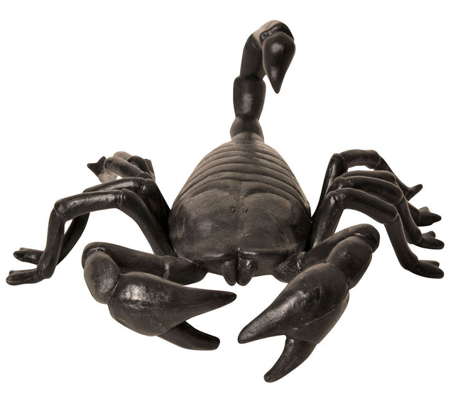 Giant 11" Bugs- scorpion, front view
