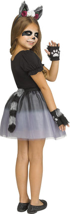 Glitter Animal Kits- raccoon