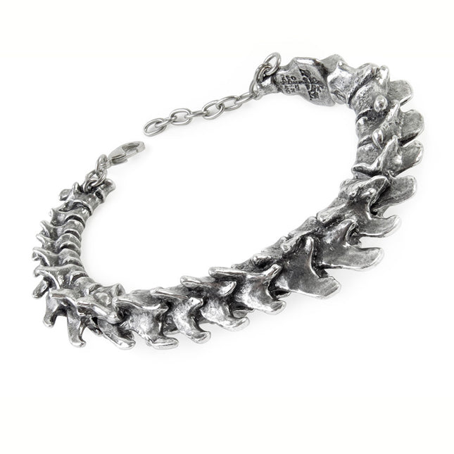 Vertebrae Bracelet- front view