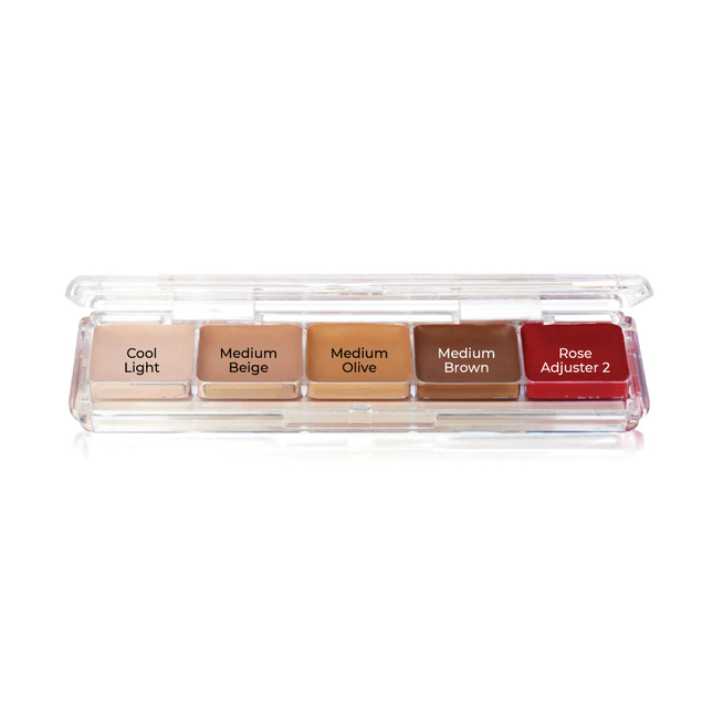 Tattoo Cover Alcohol Activated Palette- shades