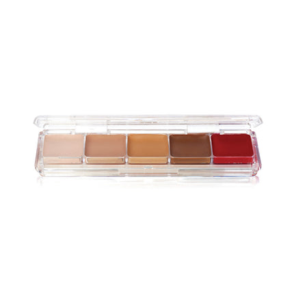Tattoo Cover Alcohol Activated Palette