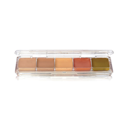 Concealer and Adjuster Alcohol Activated Palette