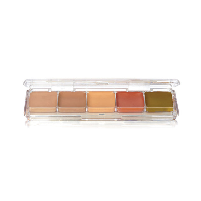 Concealer and Adjuster Alcohol Activated Palette