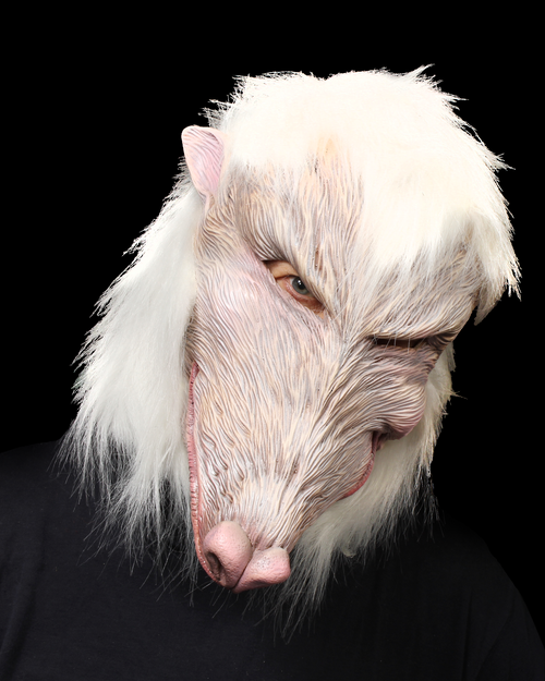 Lab Partner Mask