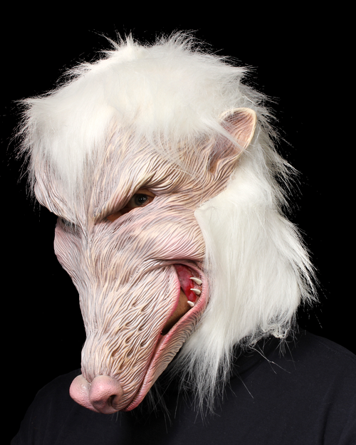 Lab Partner Mask