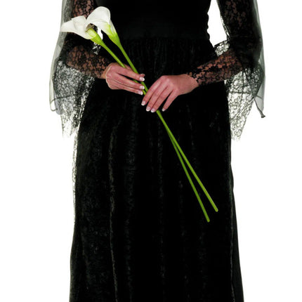 Black Dahlia Costume- front view