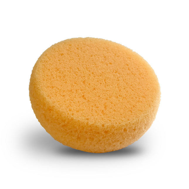 Foam Hydra Sponge