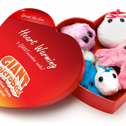 Heart Warming Heart Box