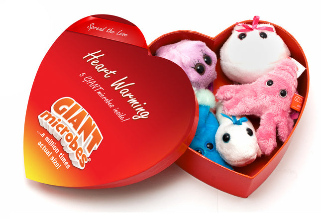 Heart Warming Heart Box