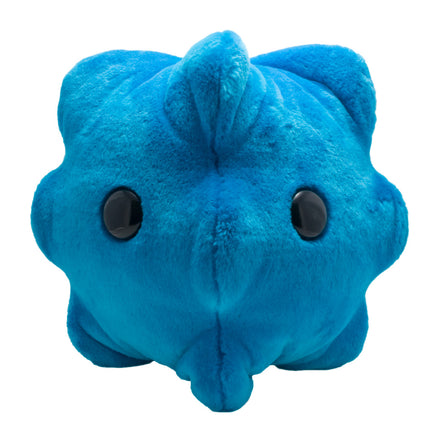 Gigantic Common Cold- Front View