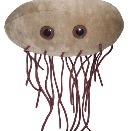 Gigantic E Coli plushie