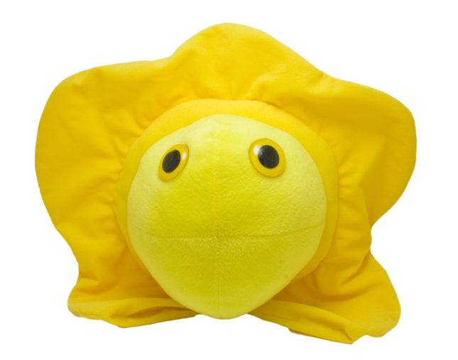 Gigantic Herpes- Front View