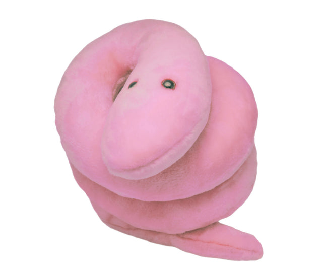 Gigantic Pox Syphilis