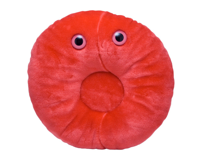 Gigantic Red Blood Cell
