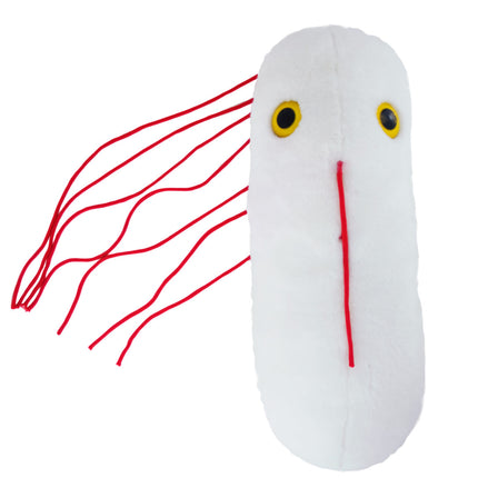 Gigantic Salmonella- Front View