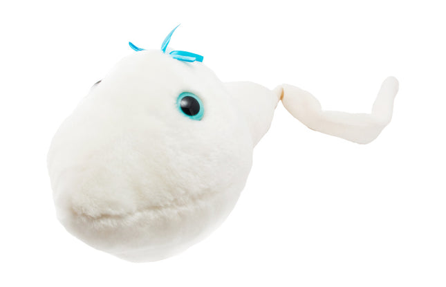 Gigantic Sperm
