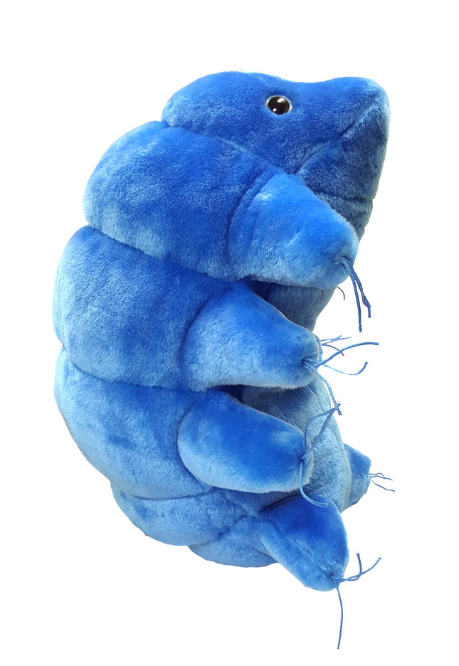 Gigantic Waterbear