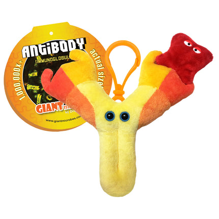 Antibody Keychain