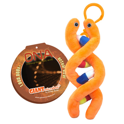 DNA Keychain With informational tag