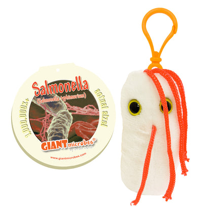 Salmonella Keychain