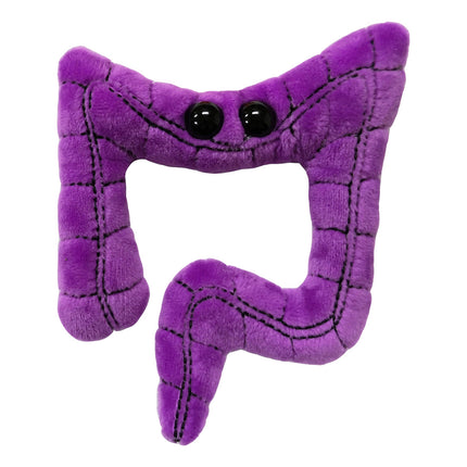 Colon Keychain- Front View