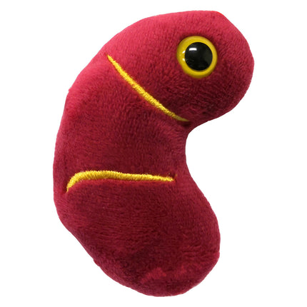Kidney Keychain
