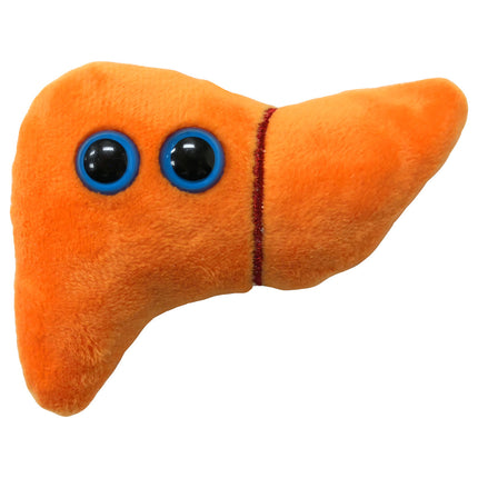 Liver Keychain 